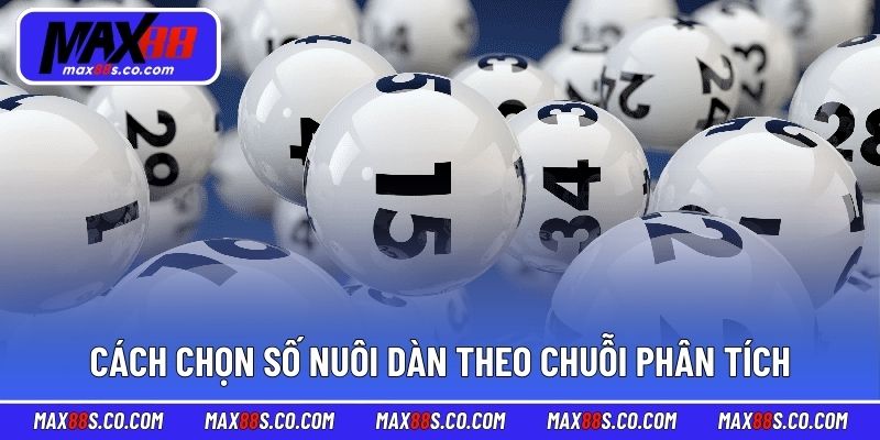 Cách chọn số nuôi dàn theo chuỗi phân tích