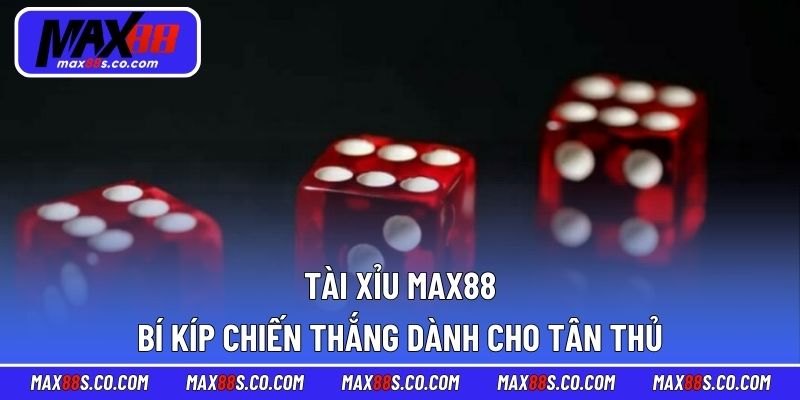 Tài Xỉu MAX88 - Bí Kíp Chiến Thắng Dành Cho Tân Thủ